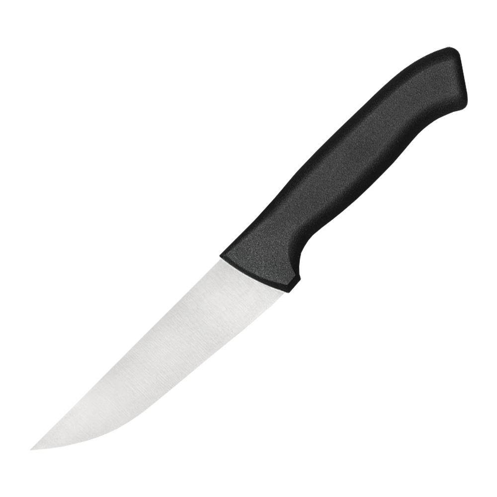 Fleischer-/ Küchenmesser - 12,5 cm - ECO