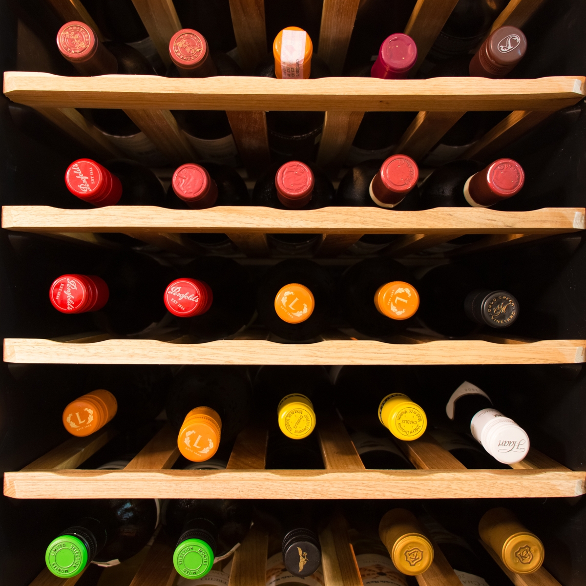 Weinkühlschrank - 1,0 x 0,61 - mit 4 Glastüren