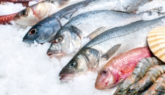 Table refrigerated display cabinet for fish