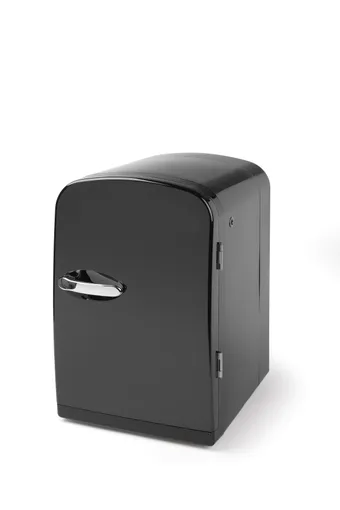 Piimakülmik 6L
